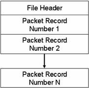 A diagram of a packet record number

AI-generated content may be incorrect.