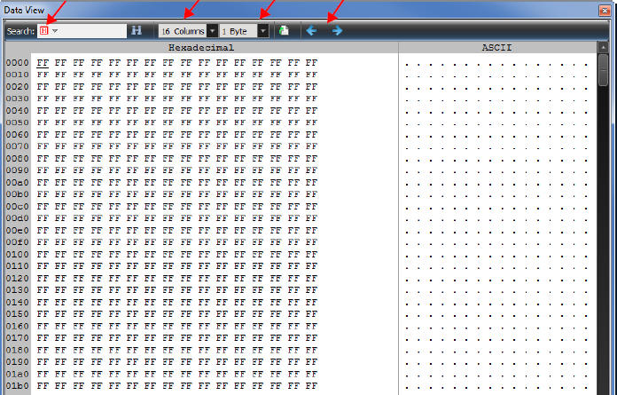 data_view.png